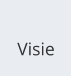 Visie