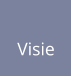Visie